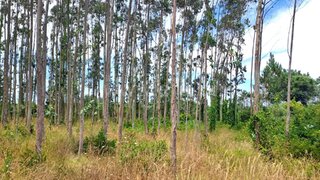 Land for sale in Lourinhã, Portugal — €78,000