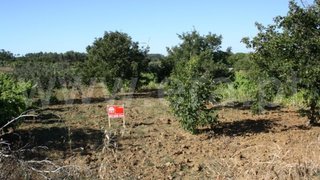 Land for sale in Lourinhã, Portugal — €26,500