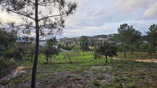 Land for sale in Mafra, Portugal — €195,000