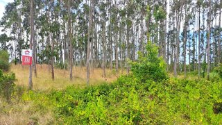 Land for sale in Lourinhã, Portugal — €73,500