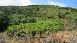 Terreno em Vila Franca de Xira