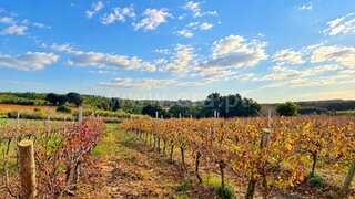 Land for sale in Lourinhã, Portugal — €77,000