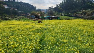 Land for sale in Cascais, Portugal — €800,000
