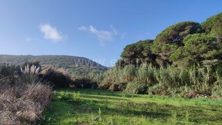 Land for sale in Sintra, Portugal — €58,000