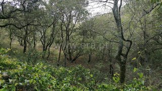 Land for sale in Mafra, Portugal — €27,500