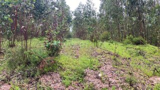 Land for sale in Lourinhã, Portugal — €15,000
