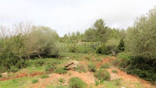 Land for sale in Cascais, Portugal — €2,000,000