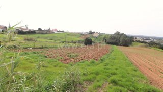 Land for sale in Torres Vedras, Portugal — €99,000