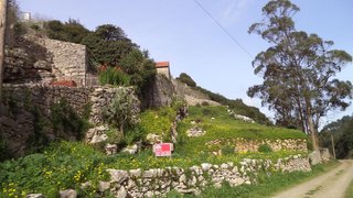 Land for sale in Lourinhã, Portugal — €16,500