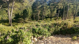 Land for sale in Mafra, Portugal — €55,000