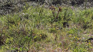 Land for sale in Cascais, Portugal — €195,000