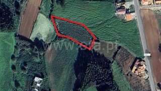 Land for sale in Lourinhã, Portugal — €22,500