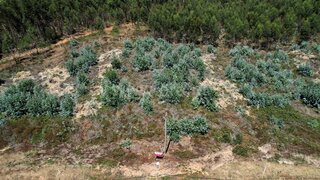 Land for sale in Torres Vedras, Portugal — €70,000