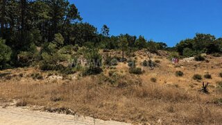 Land for sale in Peniche, Portugal — €50,000