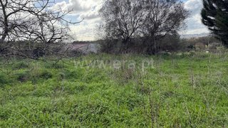 Land for sale in Alcobaça, Portugal — €35,000