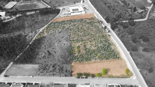 Land for sale in Figueiró dos Vinhos, Portugal — €260,000