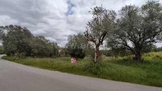 Terreno de 7000 m² em Leiria