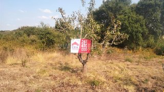 Land for sale in Bombarral, Portugal — €60,000