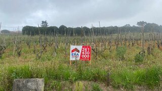 Land for sale in Bombarral, Portugal — €95,000
