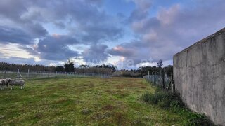 Land for sale in Alcobaça, Portugal — €120,000