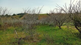 Land for sale in Óbidos, Portugal — €22,000