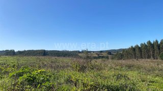 Land for sale in Bombarral, Portugal — €75,000