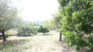 Land for sale in Leiria, Portugal — €64,000