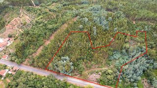 Land for sale in Alvaiázere, Portugal — €13,000