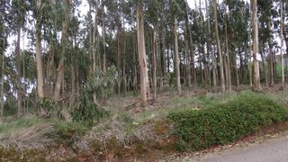 Land for sale in Caldas da Rainha, Portugal — €159,999