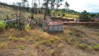 Land for sale in Alvaiázere, Portugal — €65,000