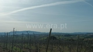 Land for sale in Bombarral, Portugal — €1,280,000