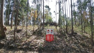 Land for sale in Leiria, Portugal — €33,000