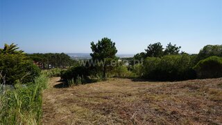 Land for sale in Alcobaça, Portugal — €200,000