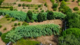 Land for sale in Óbidos, Portugal — €21,000