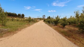 Land for sale in Bombarral, Portugal — €52,500