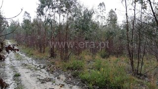 Land for sale in Pombal, Portugal — €16,000