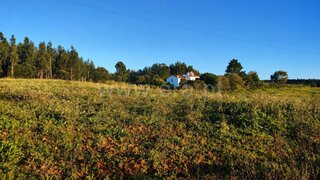 Land for sale in Bombarral, Portugal — €165,000