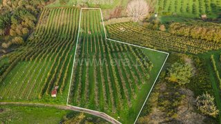 Land for sale in Alcobaça, Portugal — €16,000