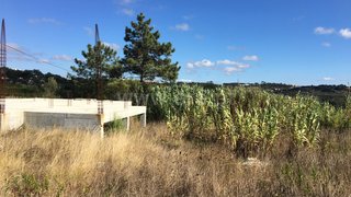 Land for sale in Mafra, Portugal — €250,000