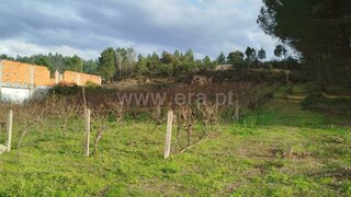Land for sale in Pombal, Portugal — €18,000