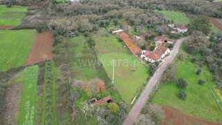 Terreno para venda em Pombal, Portugal — 39 000 €