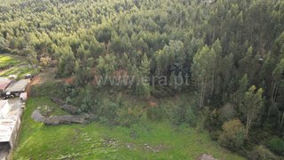 Land for sale in Alvaiázere, Portugal — €10,000