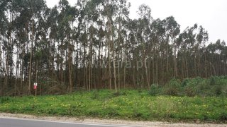 Land for sale in Peniche, Portugal — €85,000