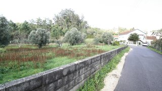 Terreno de 5400 m² em Leiria