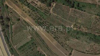 Land for sale in Bombarral, Portugal — €12,500