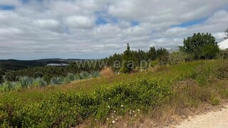 Land for sale in Bombarral, Portugal — €240,000