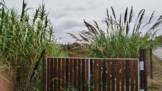 Land for sale in Bombarral, Portugal — €70,000