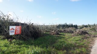 Land for sale in Bombarral, Portugal — €89,000