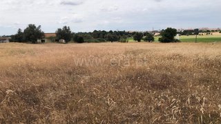 Land for sale in Palmela, Portugal — €650,000