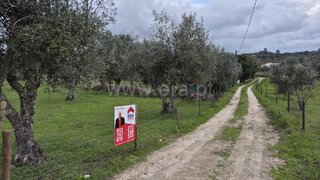 Land for sale in Nisa, Portugal — €22,750